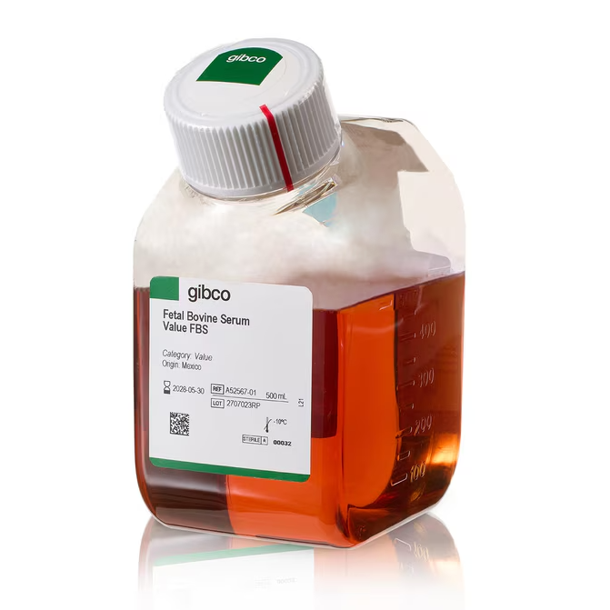 Gibco巴西胎牛血清A5256701